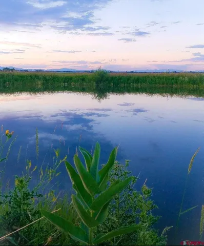 a view of a lake from a yard