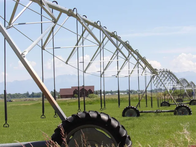 a view of a lake with houses in the background