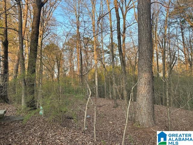 9 North Airport Road, Unit 7 Jasper, AL 35501 - Photo 4 of 4