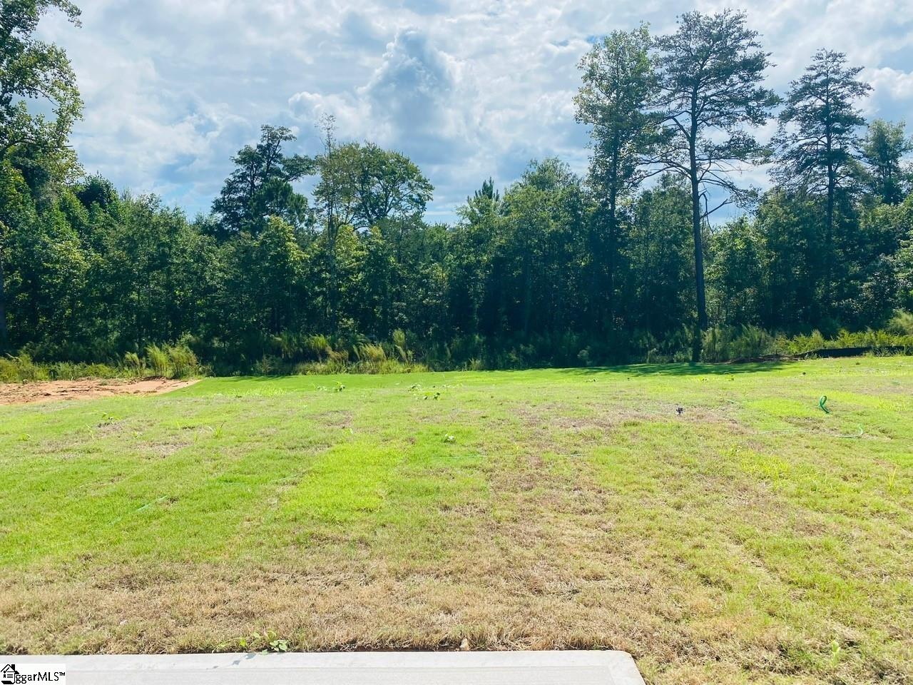 586 New Cut Meadows Road, Unit HOMESITE 44 Inman, SC 29349 - Photo 5 of 36