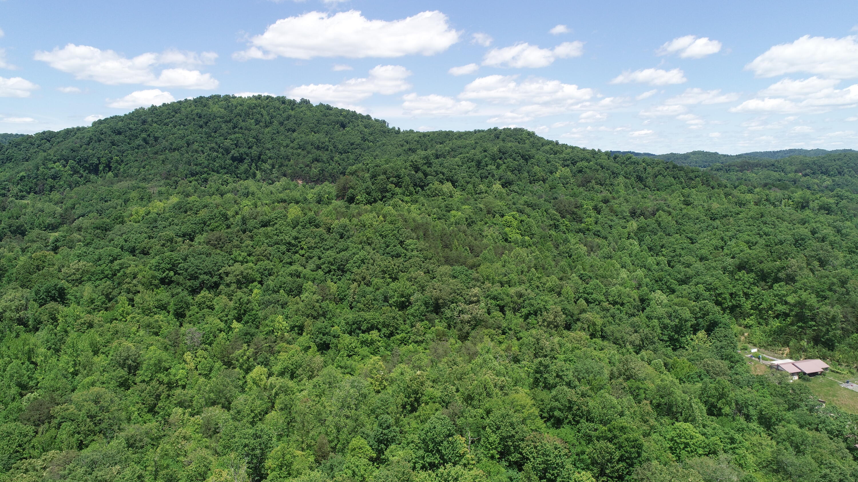 0 Sutton Mill Road Williamsburg, KY 40769 - Photo 9 of 23 DJI_0647