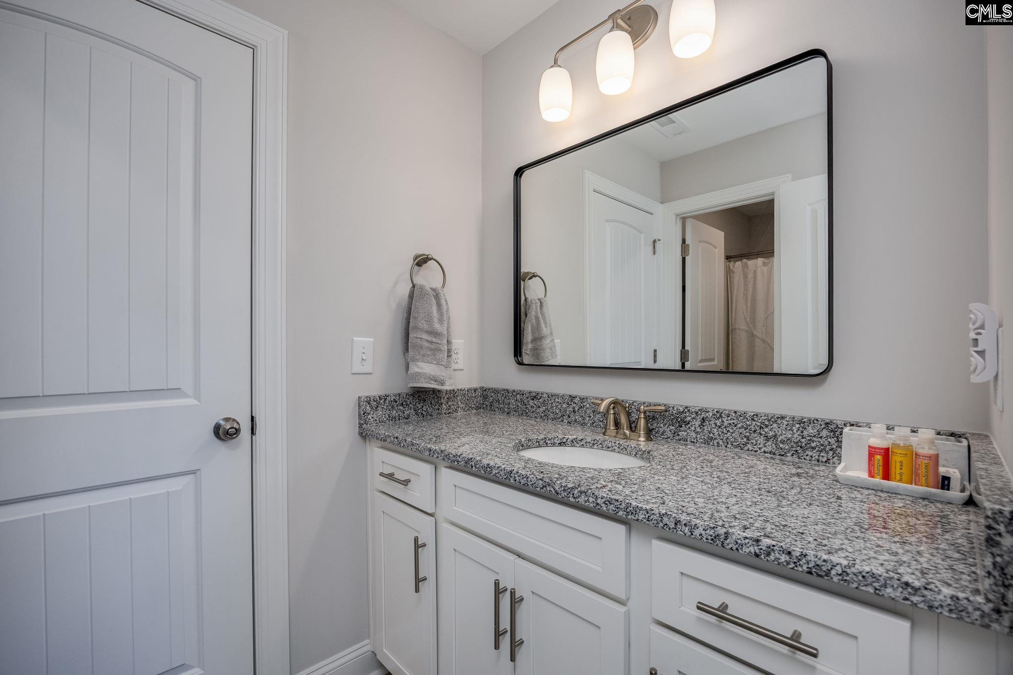 163 Highgate Lane Chapin, SC 29036 - Photo 31 of 59