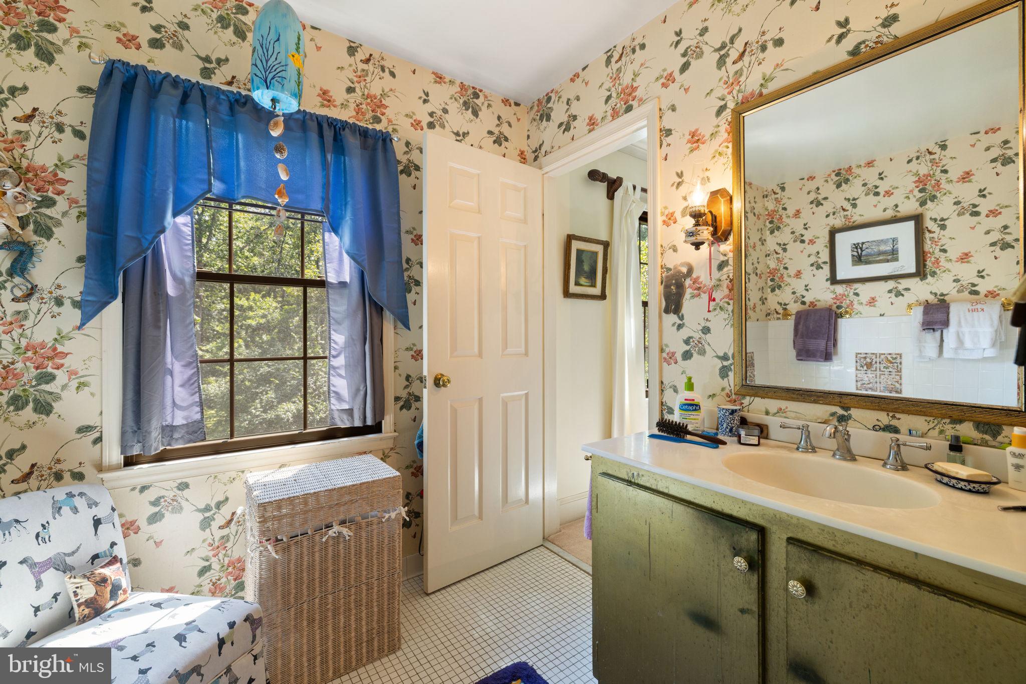 961 Summerville Road Boyce, VA 22620 - Photo 31 of 57 a bathroom with a sink and a mirror