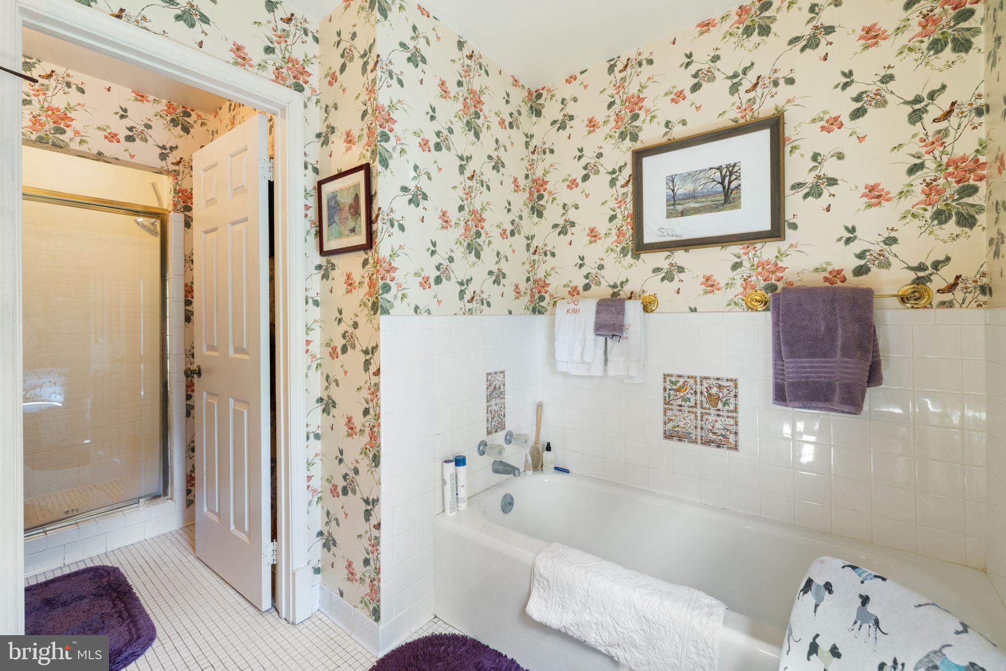 961 Summerville Road Boyce, VA 22620 - Photo 32 of 57 a bathroom with a bathtub and shower