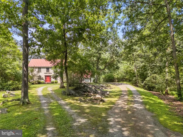 a view of a field with a tree