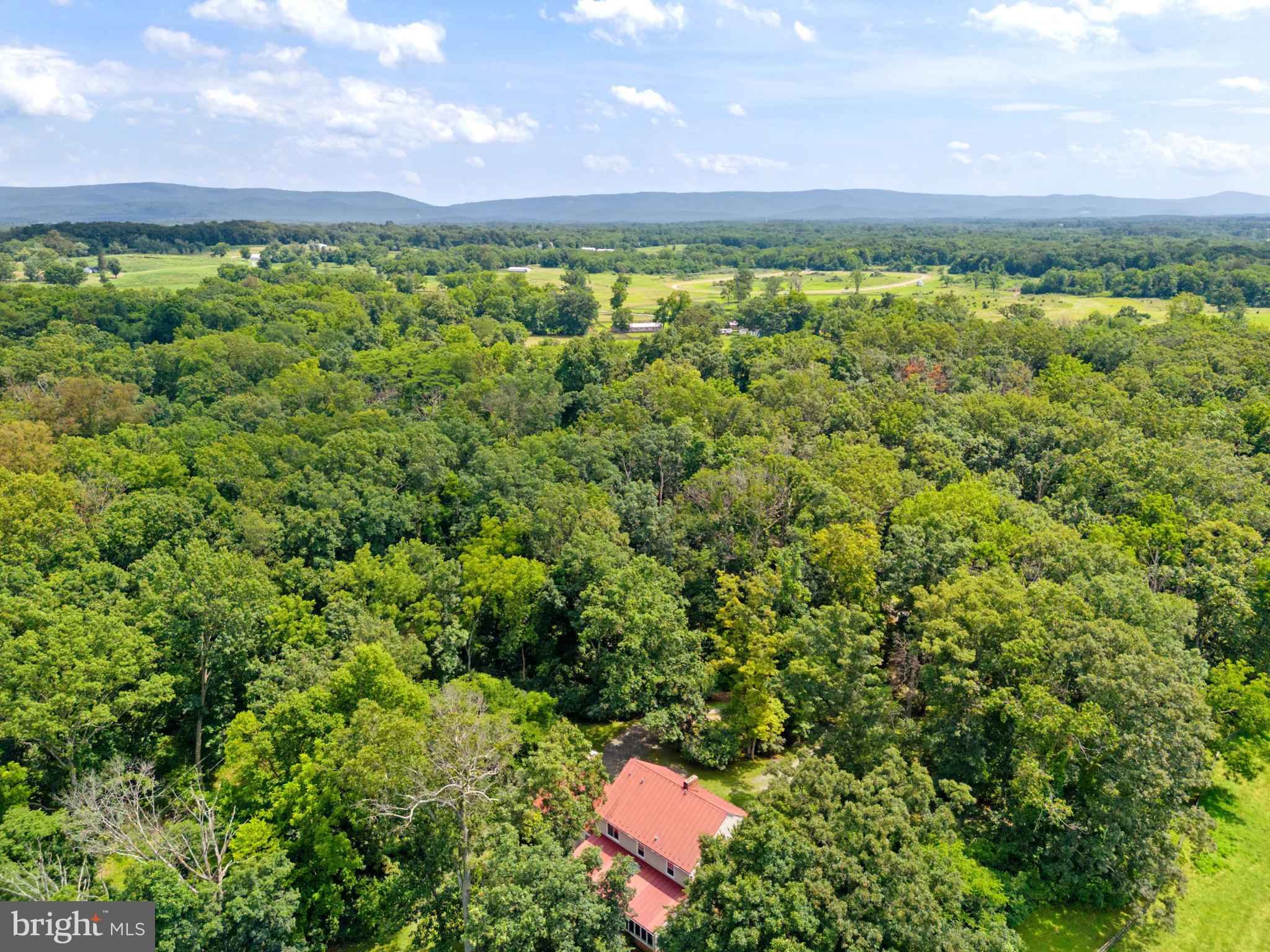 961 Summerville Road Boyce, VA 22620 - Photo 50 of 57 a view of a large yard and a large tree