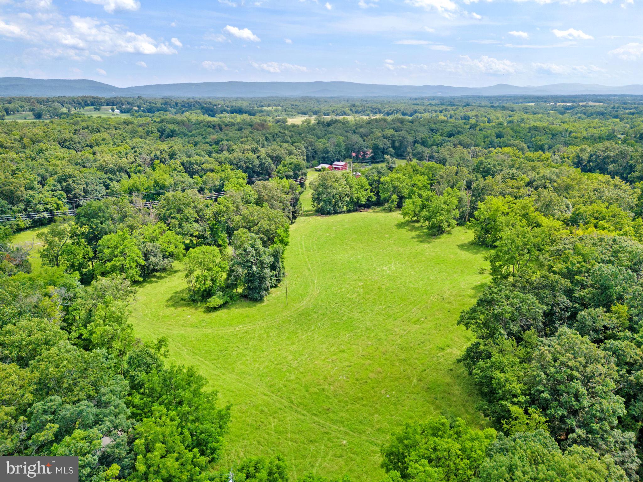 961 Summerville Road Boyce, VA 22620 - Photo 55 of 57 a view of a yard with an outdoor space