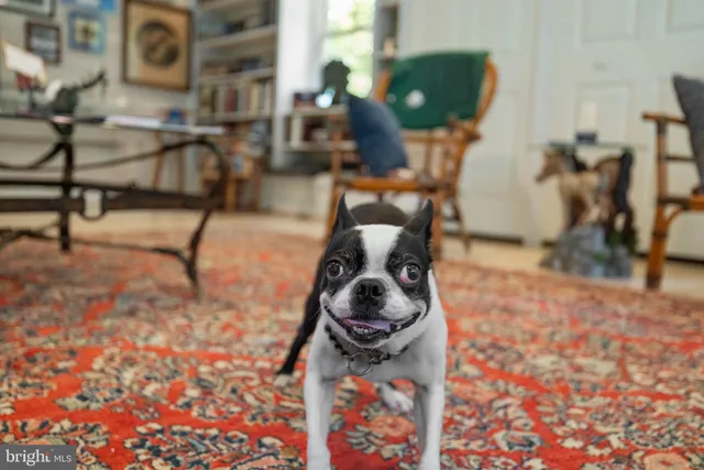 $2,250,000 | 961 Summerville Road, Boyce, VA 22620