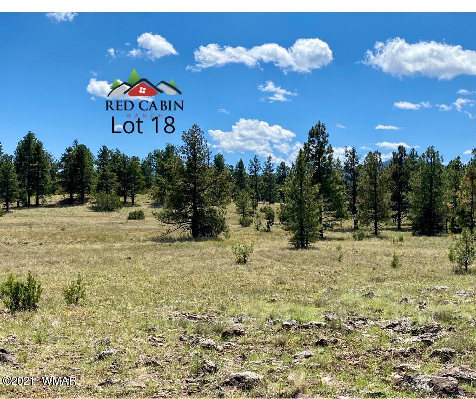 Lot 18 Red Cabin Ranch Vernon, AZ 85940 - Photo 1 of 18 Lot 18