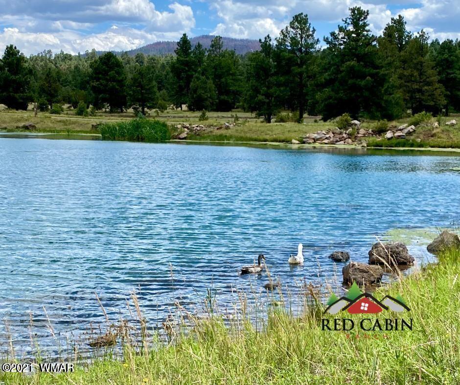 Lot 18 Red Cabin Ranch Vernon, AZ 85940 - Photo 13 of 18 The Pond