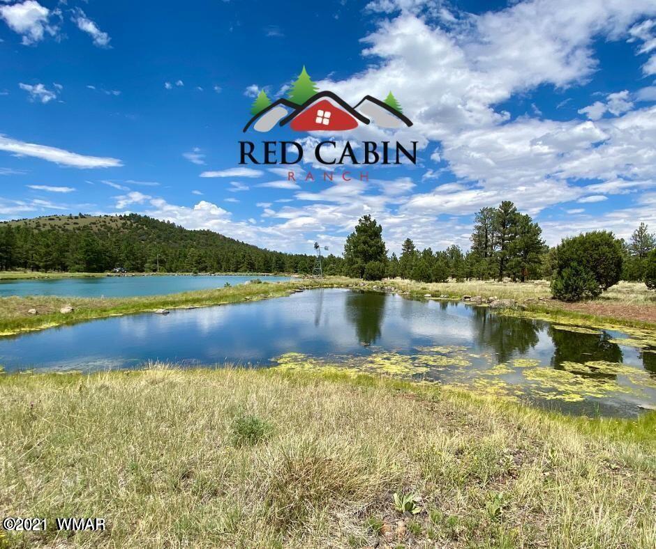 Lot 18 Red Cabin Ranch Vernon, AZ 85940 - Photo 15 of 18 Red Cabin Ranch