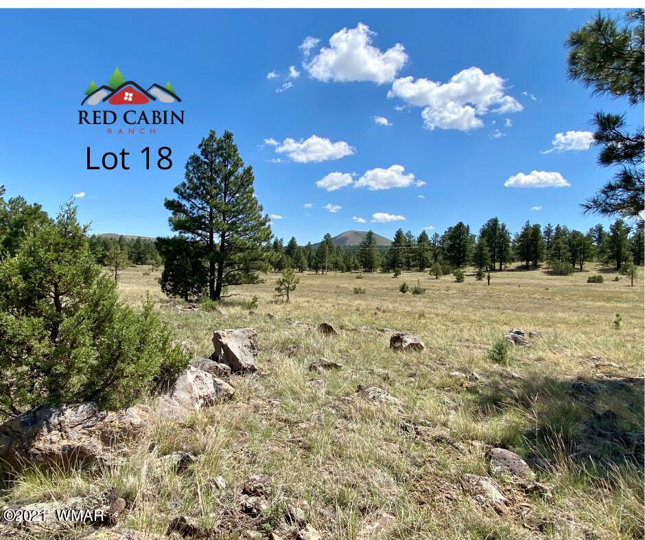 Lot 18 Red Cabin Ranch Vernon, AZ 85940 - Photo 2 of 18 Lot 18 d