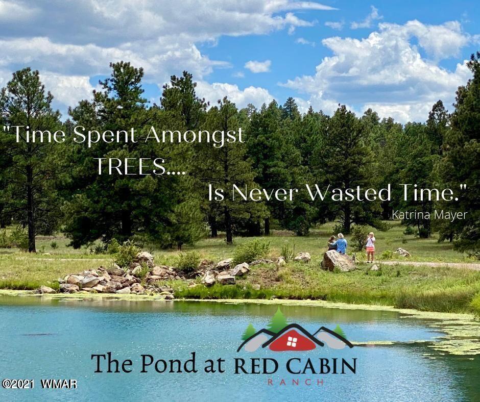 Lot 18 Red Cabin Ranch Vernon, AZ 85940 - Photo 4 of 18 The Pond