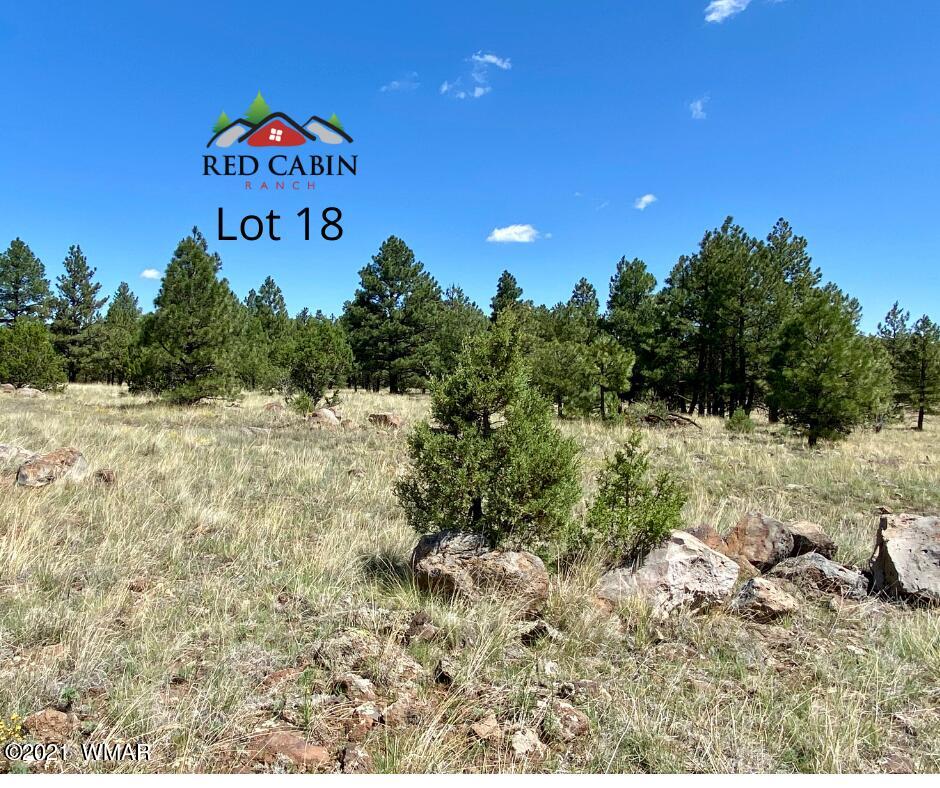 Lot 18 Red Cabin Ranch Vernon, AZ 85940 - Photo 7 of 18 Lot 18
