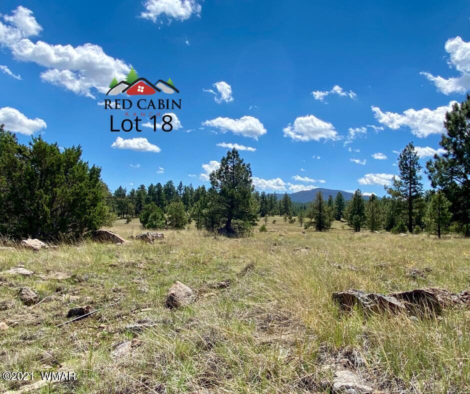Lot 18 Red Cabin Ranch Vernon, AZ 85940 - Photo 8 of 18 Lot 18