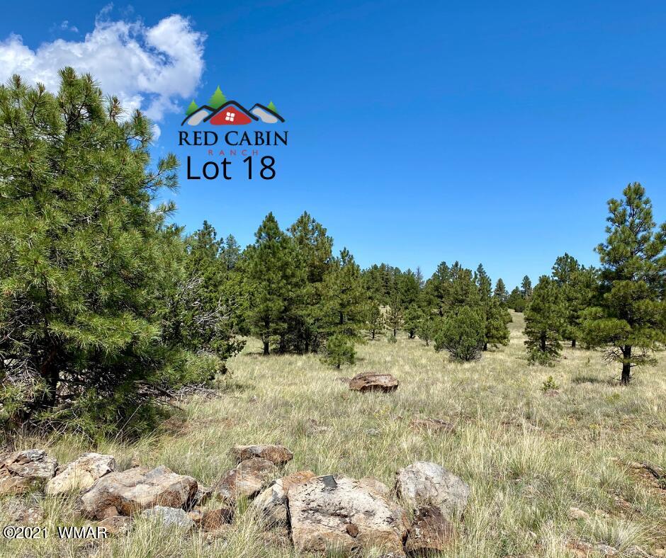 Lot 18 Red Cabin Ranch Vernon, AZ 85940 - Photo 9 of 18 Lot 18