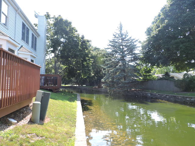205 Spring Point Drive Carpentersville, IL 60110 - Photo 3 of 9