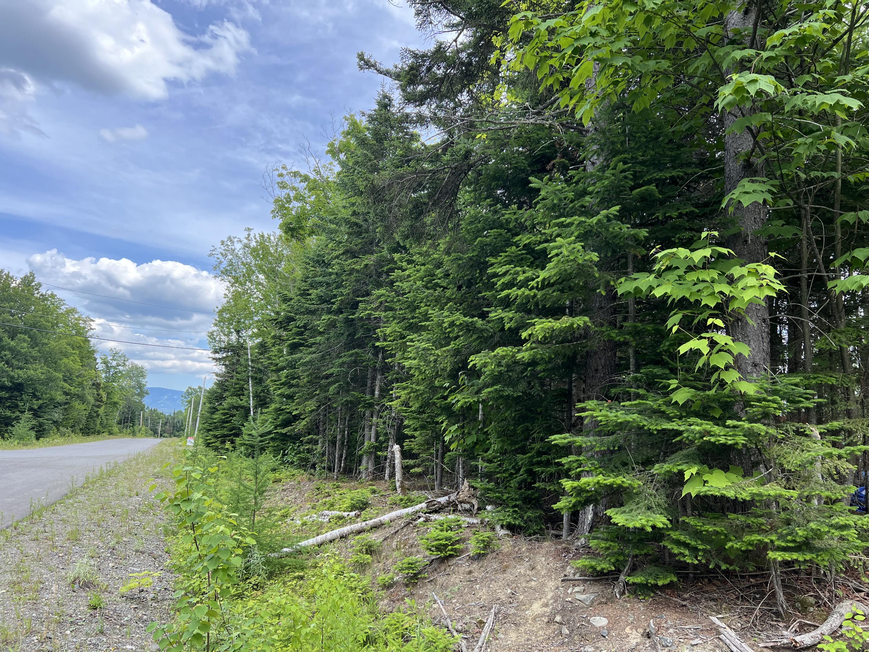 121 Taylor Farm Road, Unit 121 Rangeley, ME 04970 - Photo 4 of 5