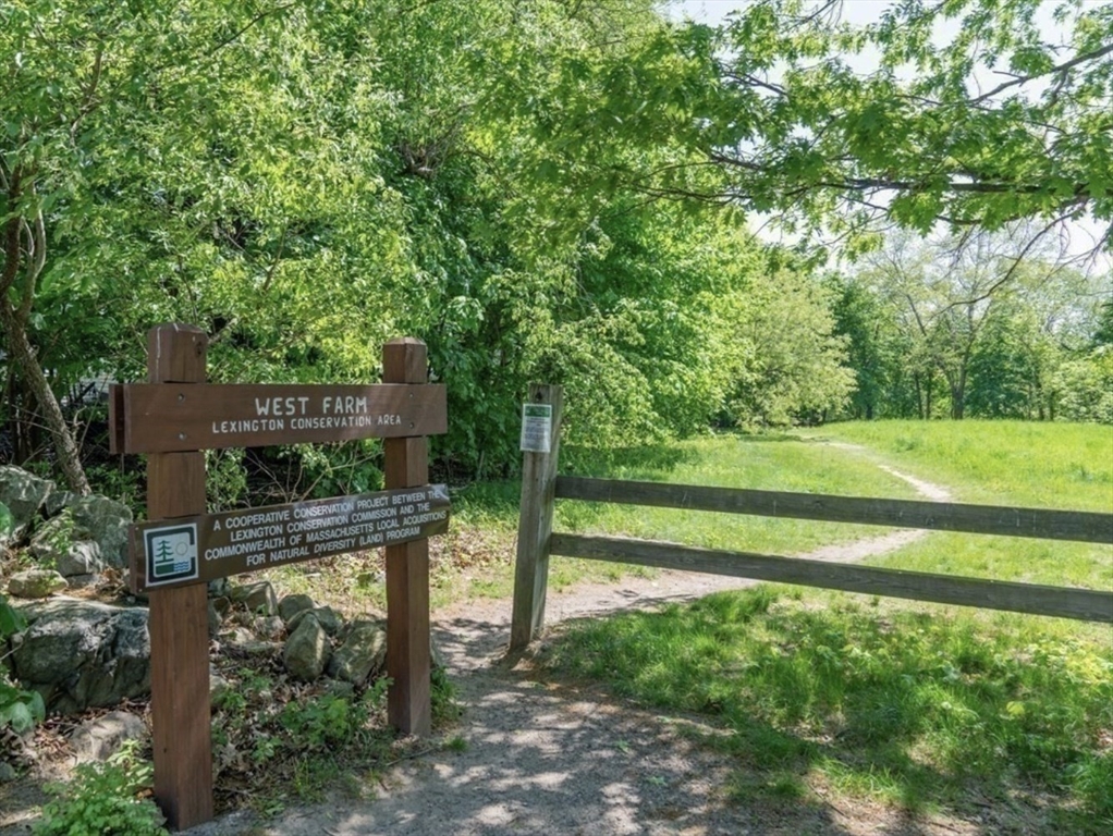 82 Oak Street Lexington, MA 02421 - Photo 41 of 42