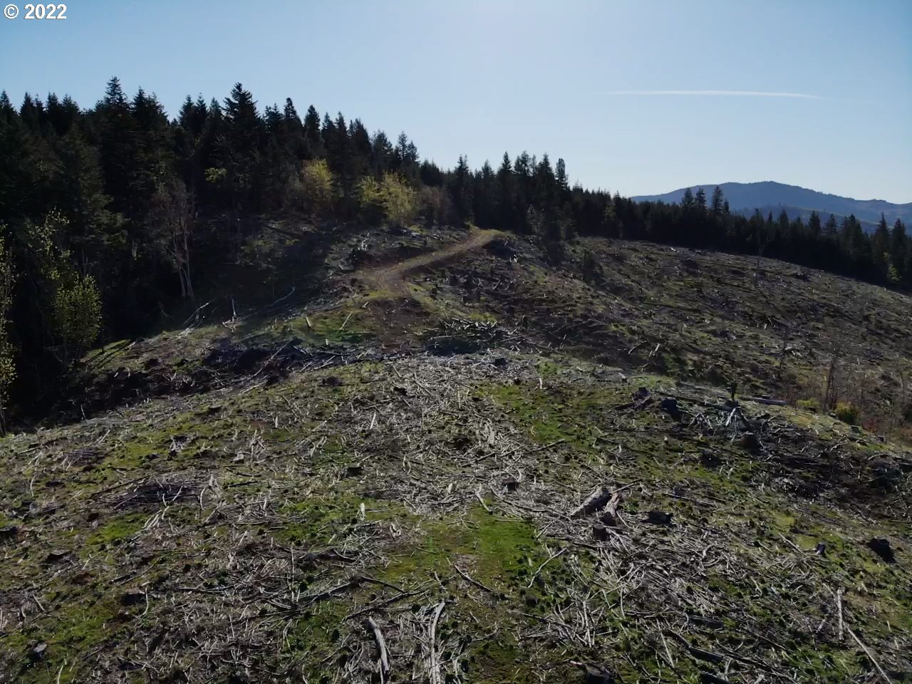 0 Oak Ridge Road White Salmon, WA 98672 - Photo 3 of 11 Gallery Image 3