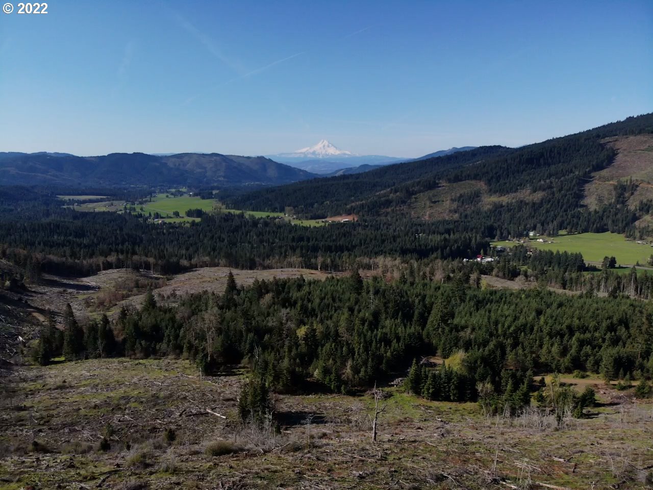 0 Oak Ridge Road White Salmon, WA 98672 - Photo 4 of 11 Gallery Image 4