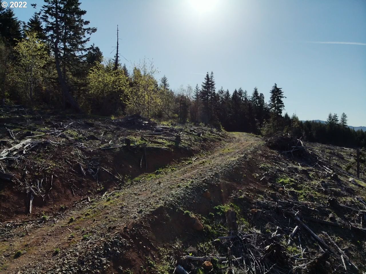0 Oak Ridge Road White Salmon, WA 98672 - Photo 5 of 11 Gallery Image 5