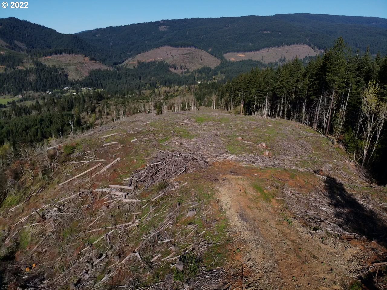 0 Oak Ridge Road White Salmon, WA 98672 - Photo 6 of 11 Gallery Image 6