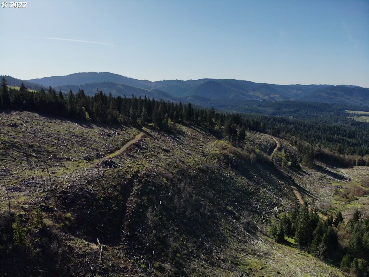 0 Oak Ridge Road White Salmon, WA 98672 - Photo 7 of 11 Gallery Image 7