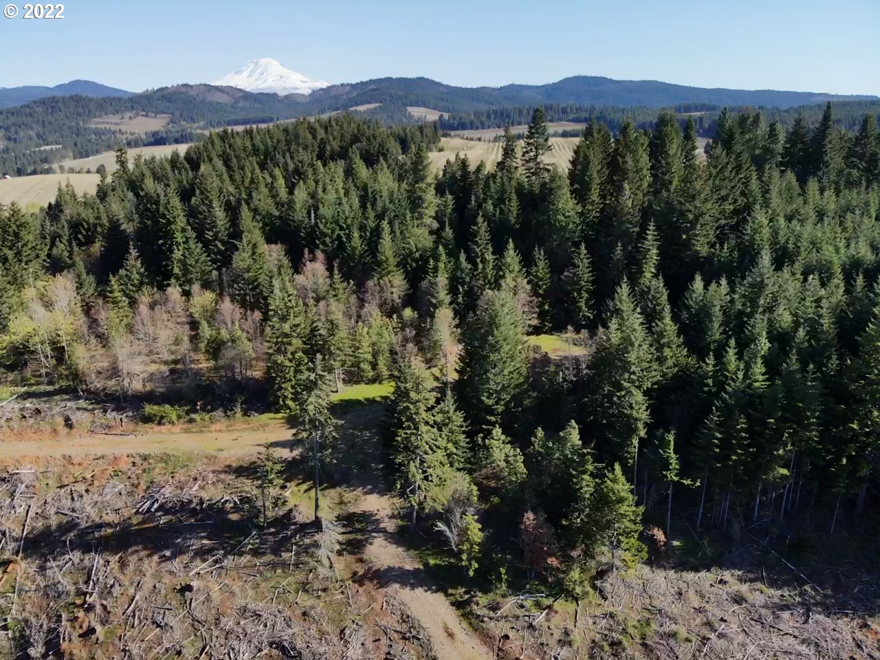 0 Oak Ridge Road White Salmon, WA 98672 - Photo 8 of 11 Gallery Image 8