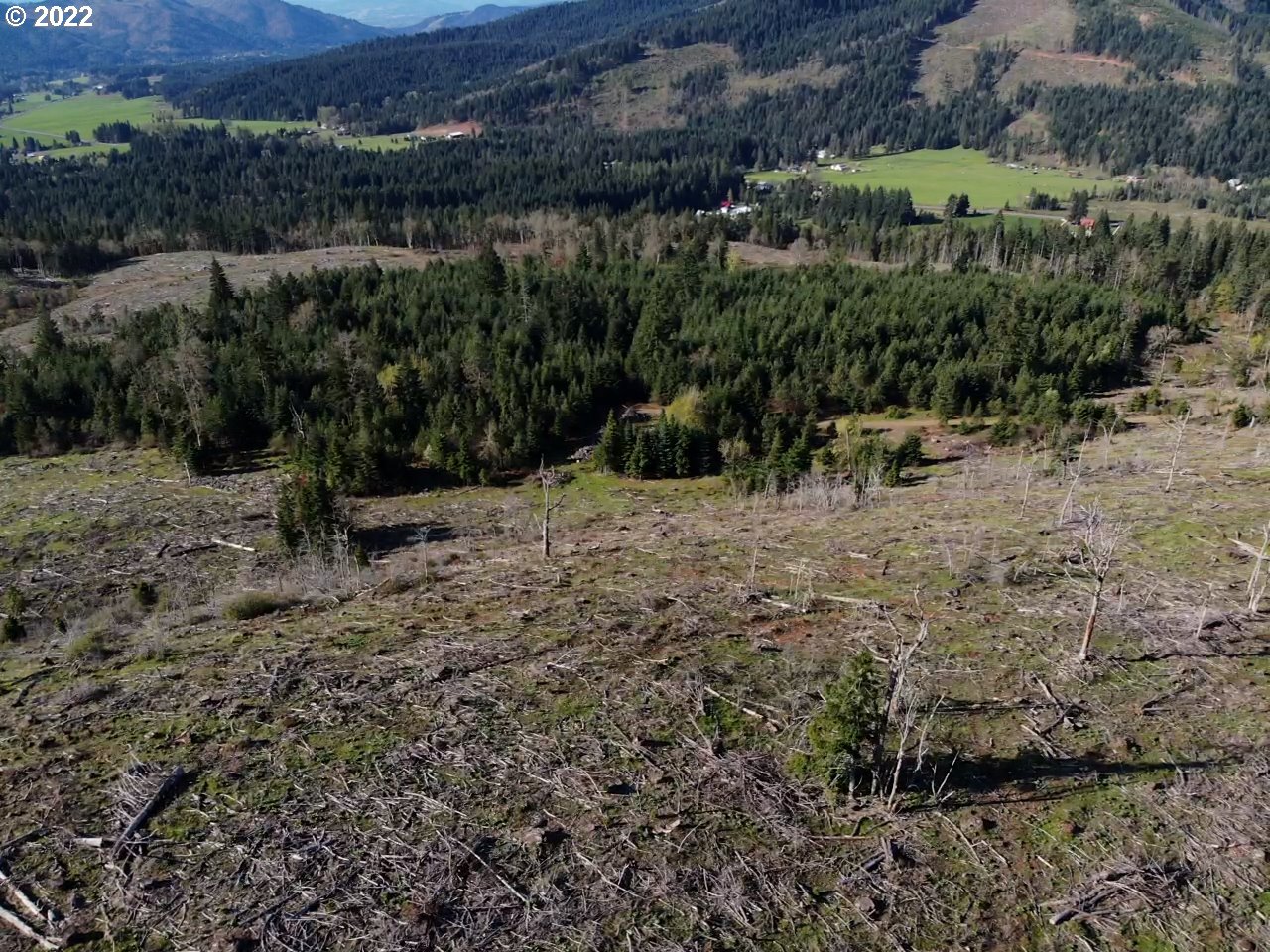 0 Oak Ridge Road White Salmon, WA 98672 - Photo 10 of 11 Gallery Image 10