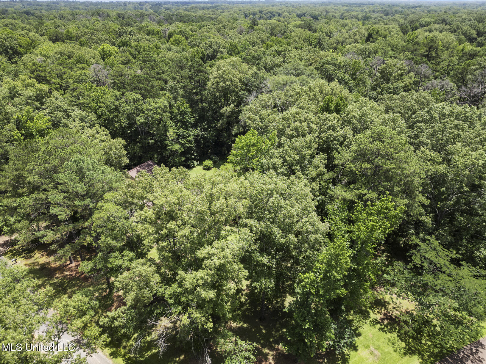809 Spring Lake Drive Terry, MS 39170 - Photo 40 of 51 809 Spring Lake Drone-1