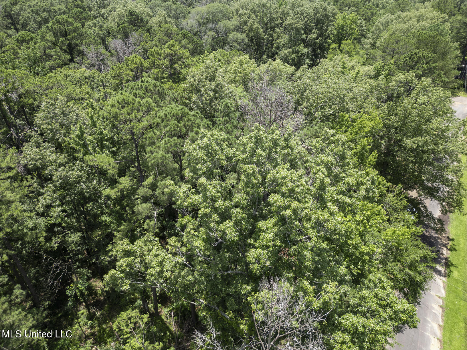 809 Spring Lake Drive Terry, MS 39170 - Photo 50 of 51 809 Spring Lake Drone-11