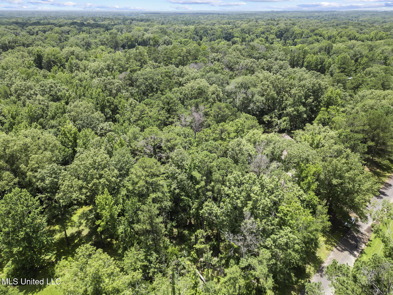 809 Spring Lake Drive Terry, MS 39170 - Photo 51 of 51 809 Spring Lake Drone-12