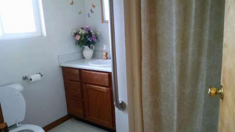 9585 Ridge Highway Britton, MI 49229 - Photo 5 of 14 20416206-4.JPG