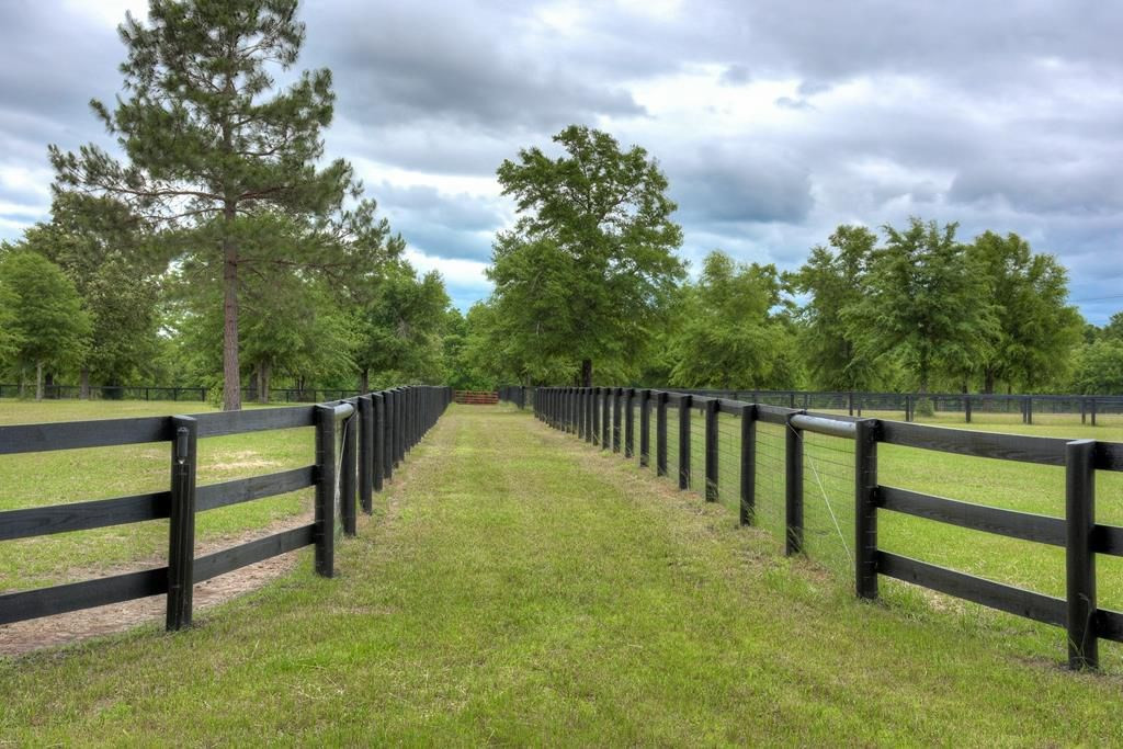 265 4 Oaks Road Wagener, SC 29164 - Photo 26 of 35