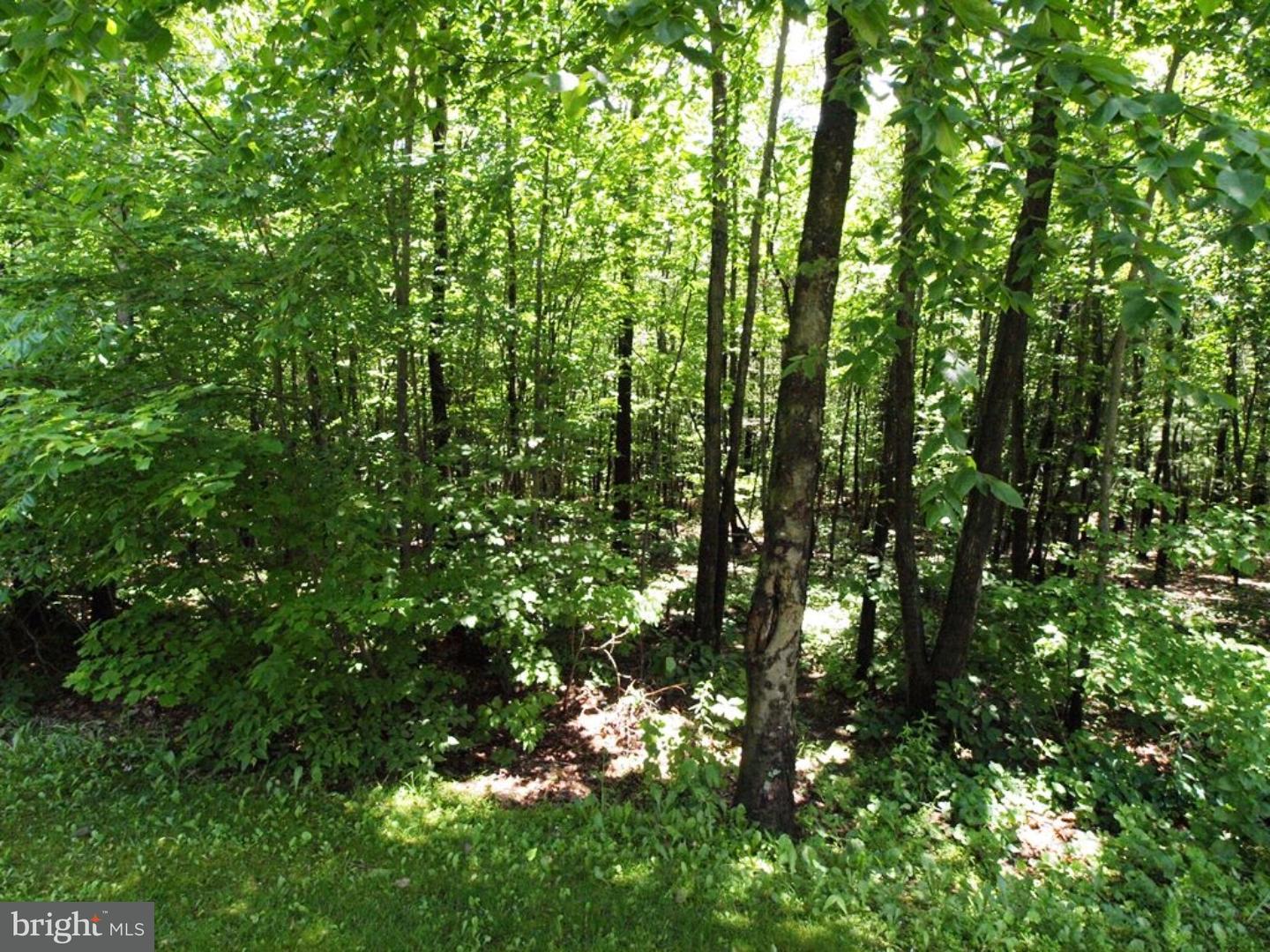 463 Rabbit Run Road Andreas, PA 18211 - Photo 24 of 25 Gallery Image 24