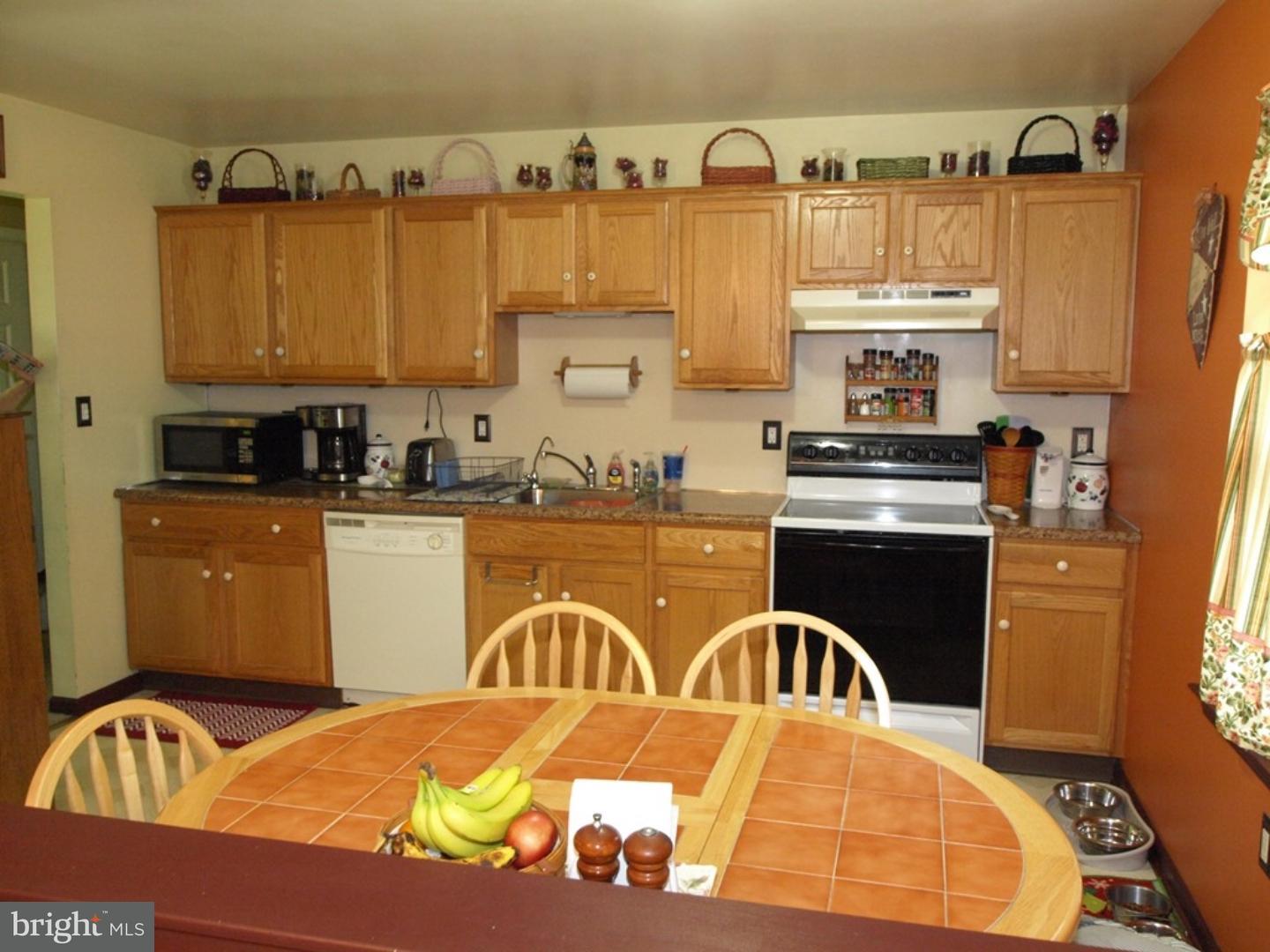463 Rabbit Run Road Andreas, PA 18211 - Photo 6 of 25 Gallery Image 6