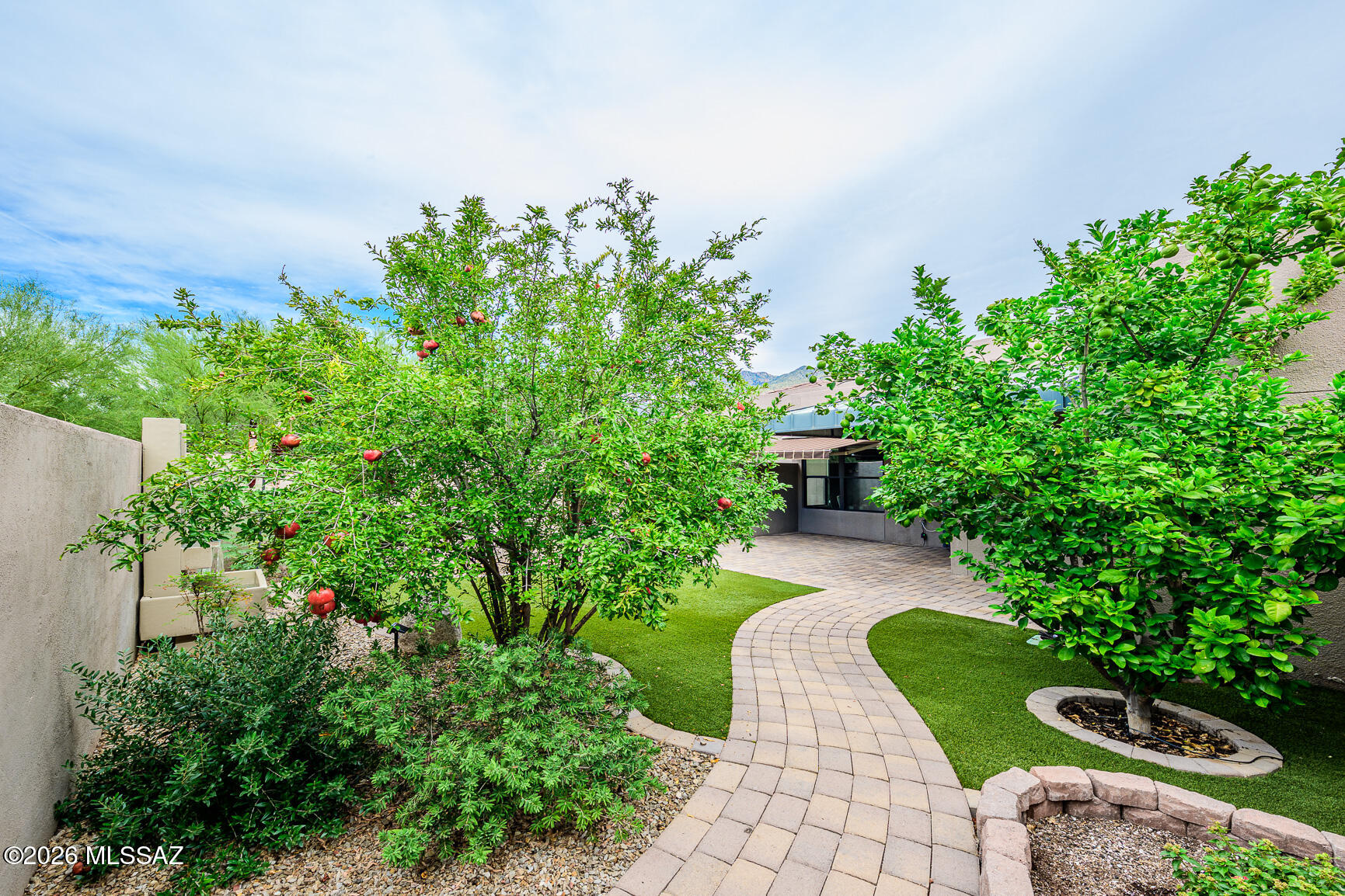 5800 North Kolb Road, Unit 10155 Tucson, AZ 85750 - Photo 20 of 30 Backyard looking toward home!