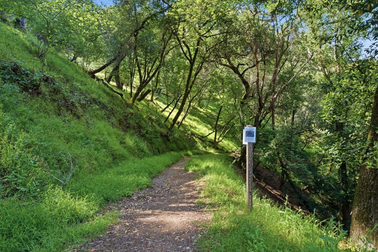 128 Madrone Road Fairfax, CA 94930 - Photo 44 of 61