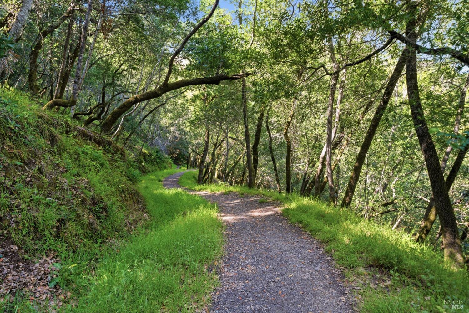 128 Madrone Road Fairfax, CA 94930 - Photo 45 of 61