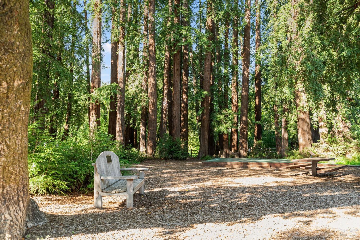 128 Madrone Road Fairfax, CA 94930 - Photo 49 of 61