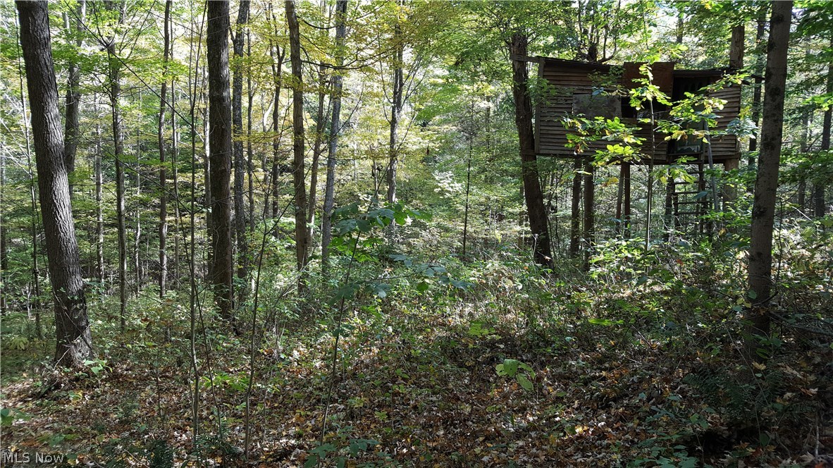Rabbit Ridge Road Howard, OH 43028 - Photo 5 of 5