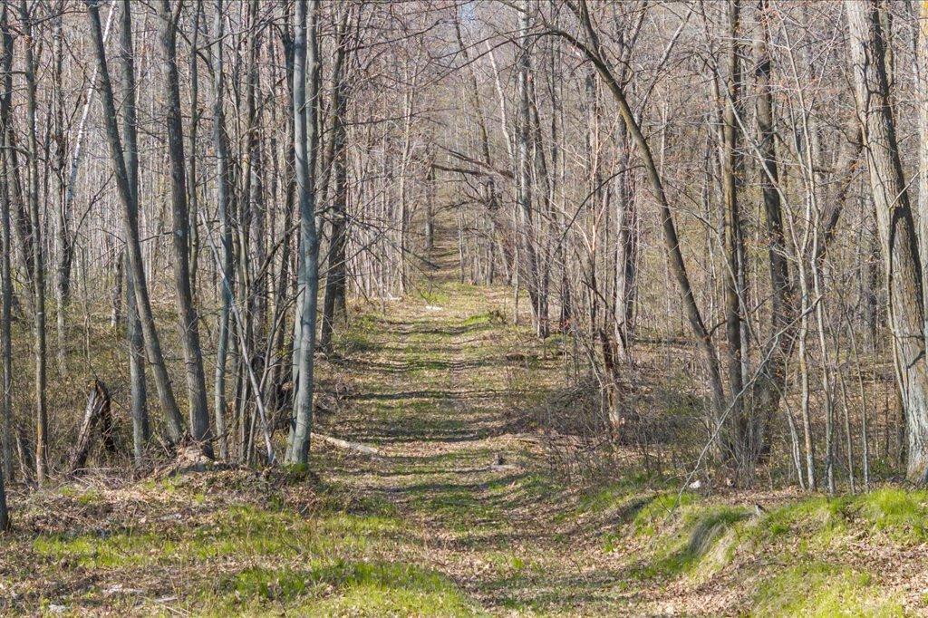 9382 County Road 8 Brainerd, MN 56401 - Photo 39 of 108