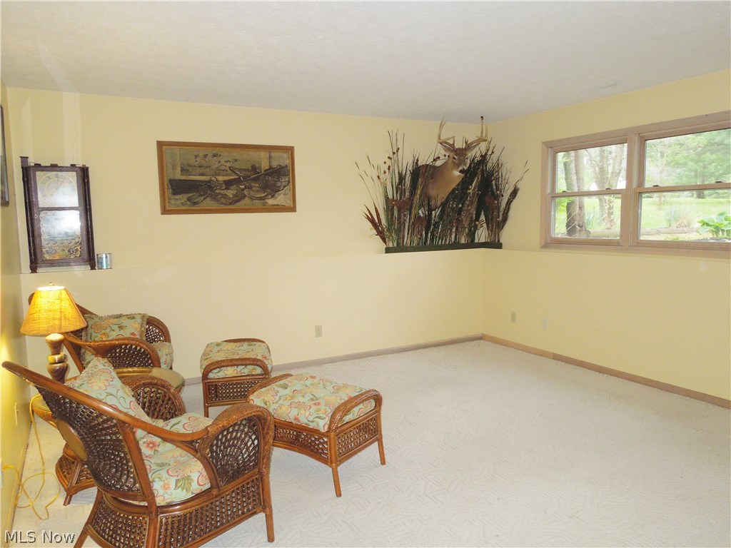 8781 Newton Falls Road Ravenna, OH 44266 - Photo 10 of 32 Gallery Image 10