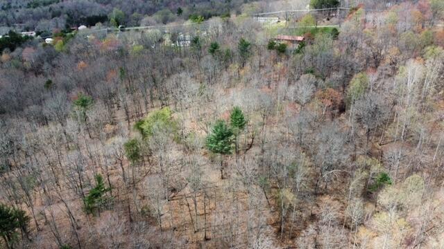 0 Altice Mill Road Rocky Mount, VA 24151 - Photo 2 of 5 a view of a forest in a forest
