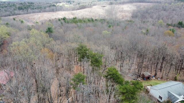 0 Altice Mill Road Rocky Mount, VA 24151 - Photo 4 of 5 a view of a yard with plants and a bench