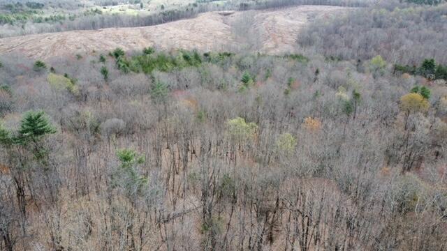 0 Altice Mill Road Rocky Mount, VA 24151 - Photo 5 of 5 a view of a dry yard