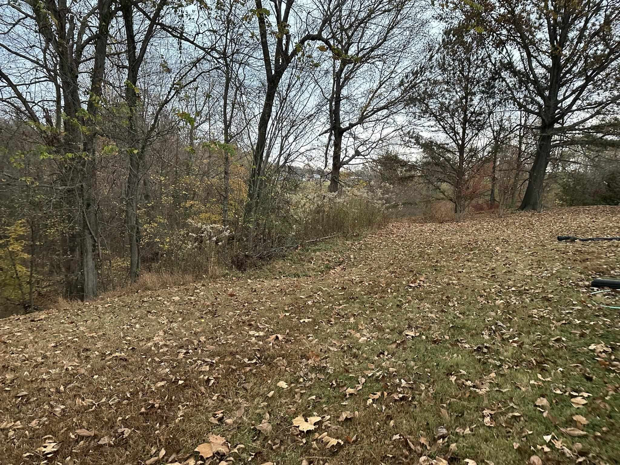 1036 Mill Creek Road Troy, TN 38260 - Photo 17 of 17 a view of a yard with a tree