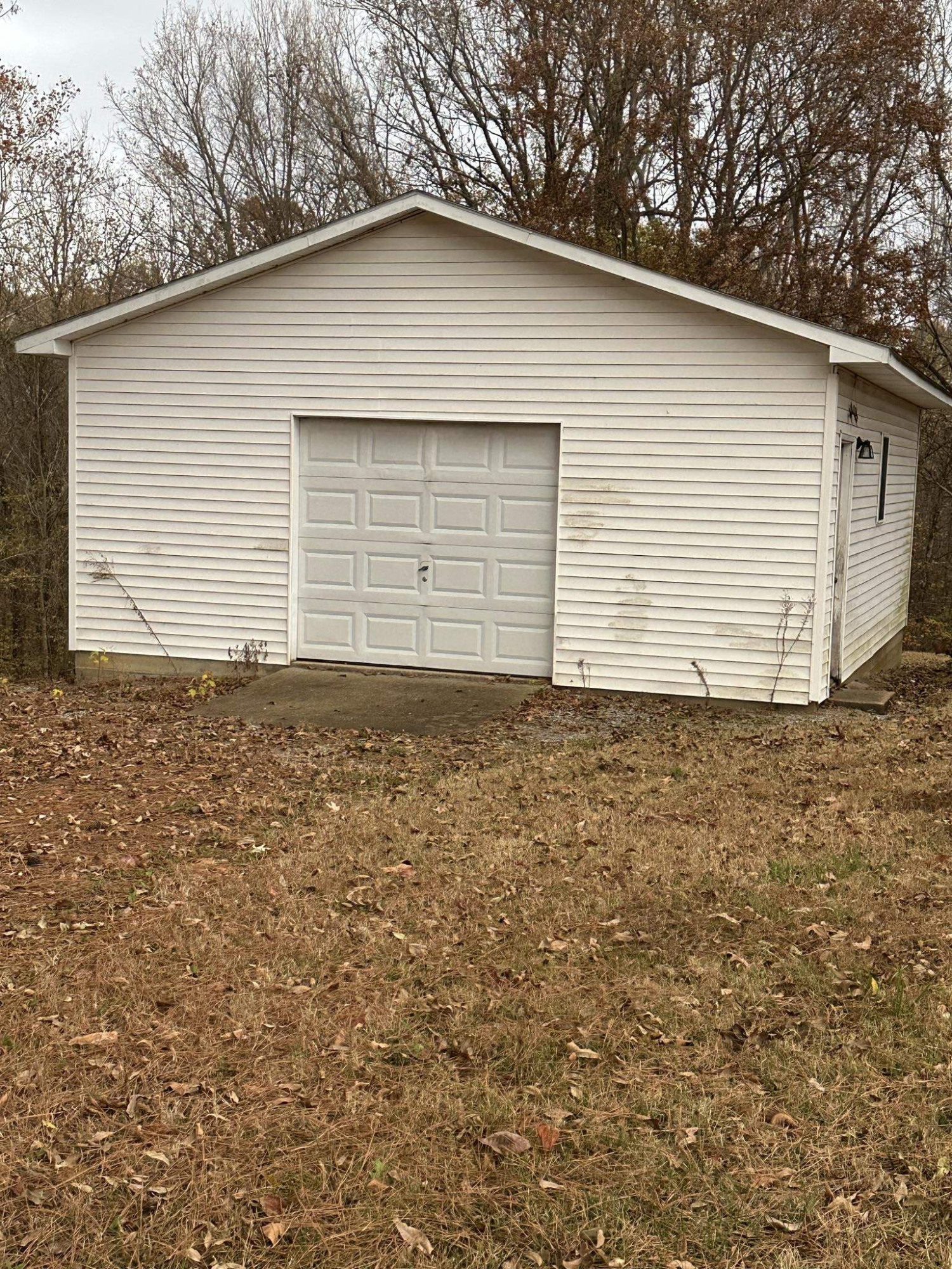 1036 Mill Creek Road Troy, TN 38260 - Photo 9 of 17 a view of house with backyard