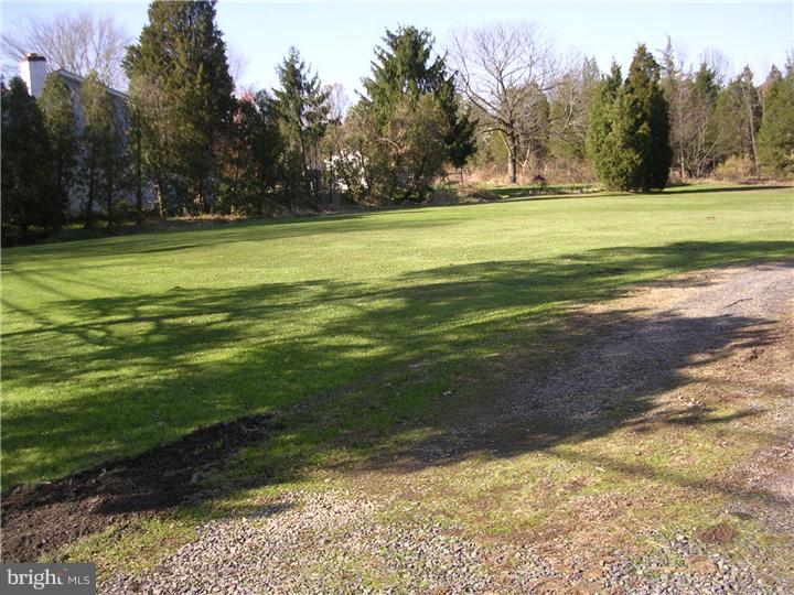 1910 Freier Road Quakertown, PA 18951 - Photo 7 of 9 Back Yard